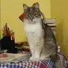 Отзыв от Венера Карасева